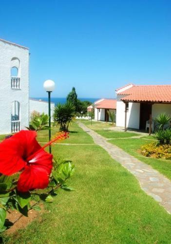 Hotel Navarone Petrochori  Buitenkant foto